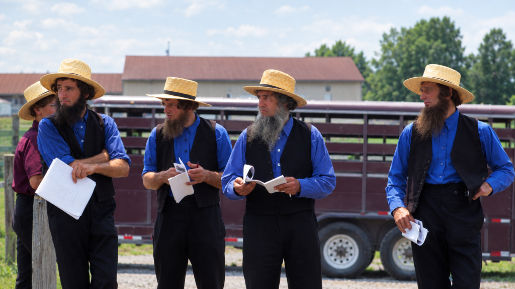 Amish men in straw hats and blue shirts with beards and no mustaches at a farm sale